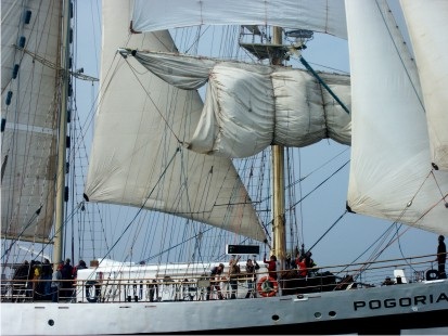 Pogoria