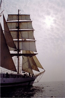 Pogoria